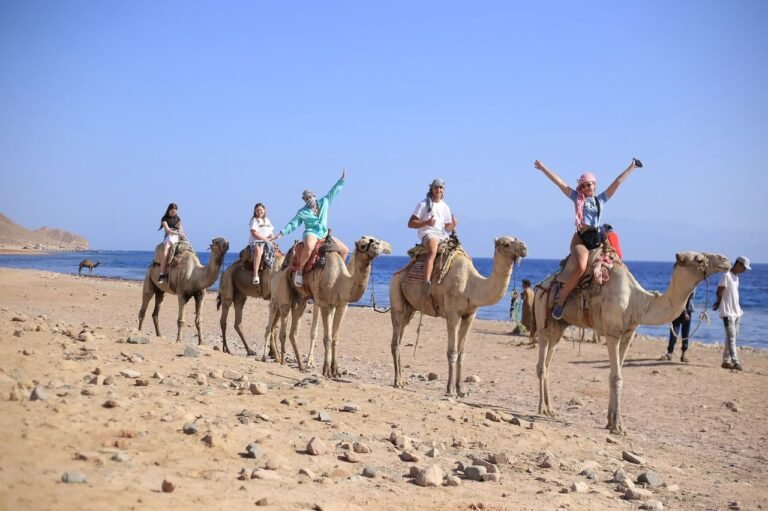 Group in the Salama Colored Canyon
