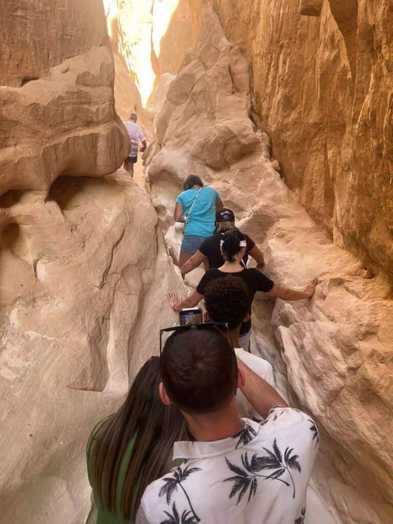 Quad bikes before the ride